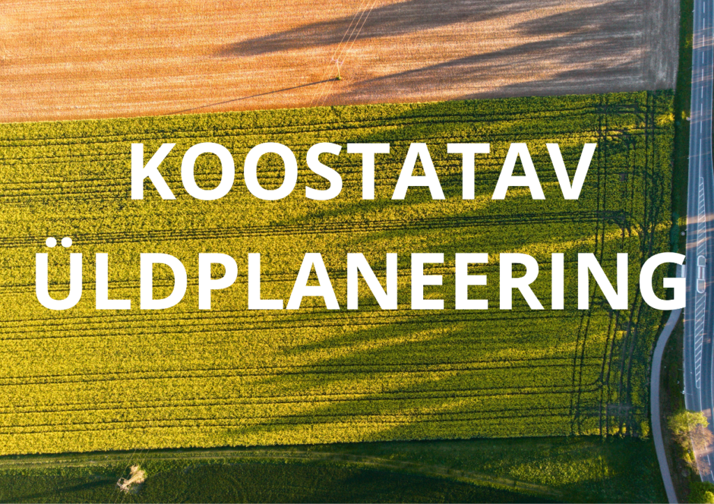 Koostatav üldplaneering